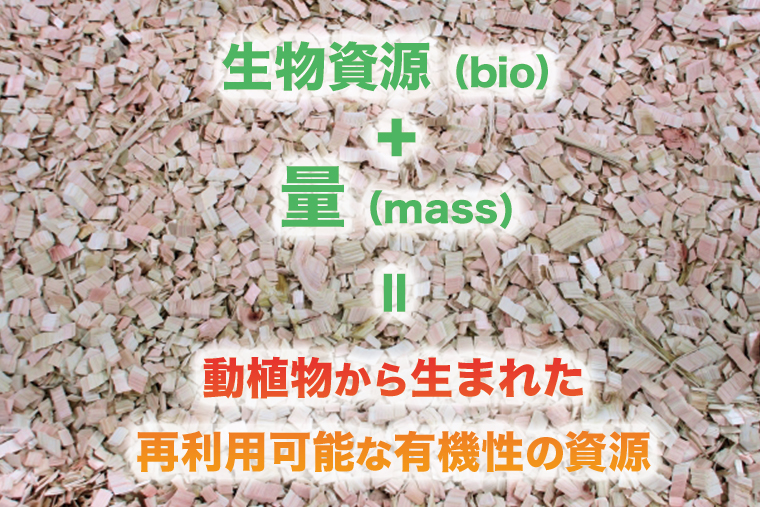 バイオマスプラスチックの解説画像